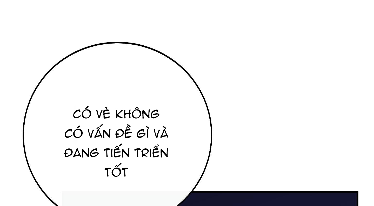 lãng mạn giả dối chapter 11 36