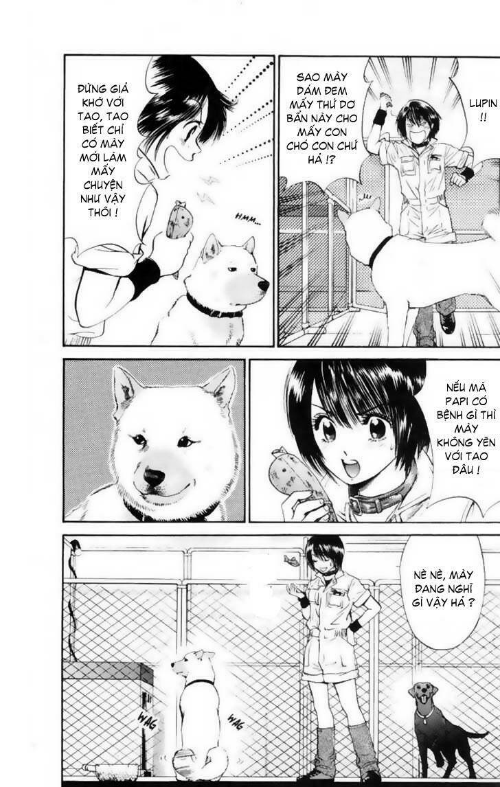 cô nàng yêu chó chapter 12 13