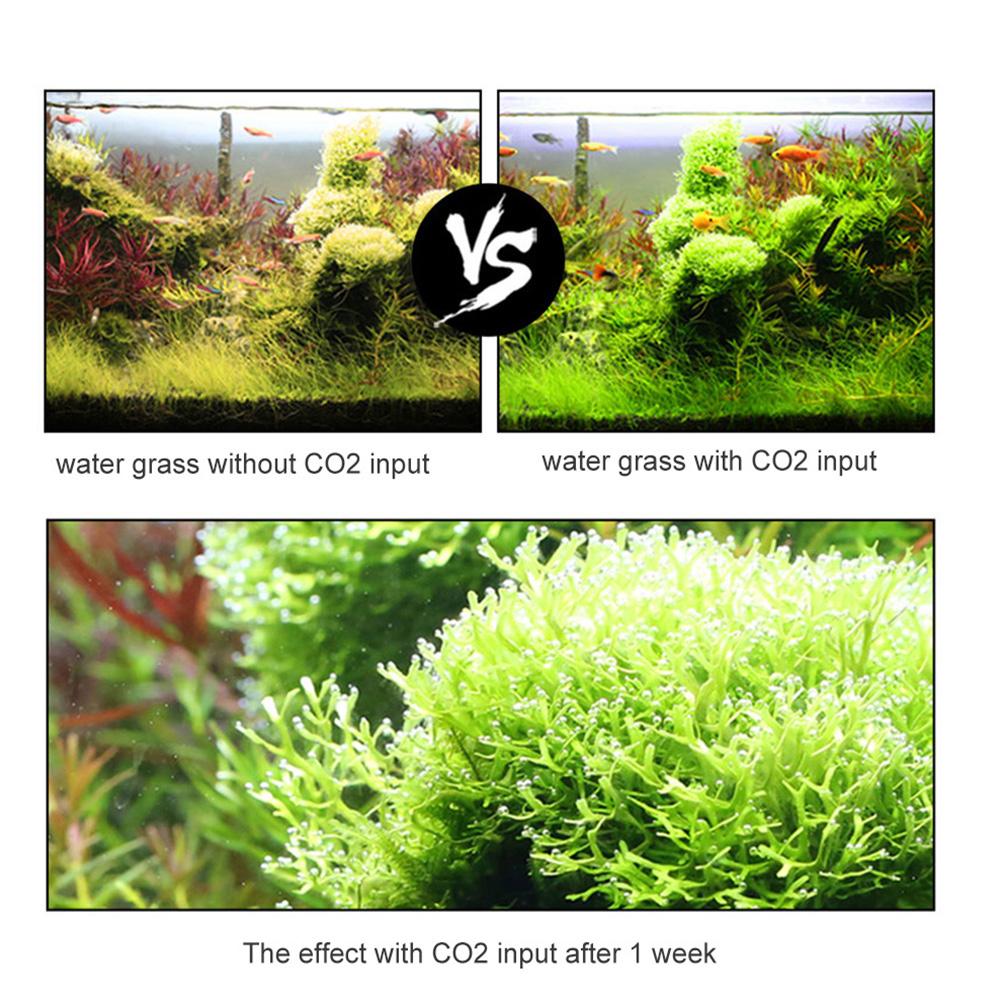 Bộ điều chỉnh áp suất CO2 cho bể cá, cung cấp oxy