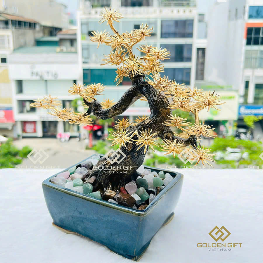 Cây Tùng La Hán mạ vàng