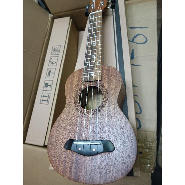 Đàn ukulele 21 inch  giá rẻ