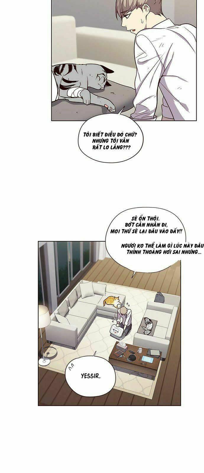 biến thân thành mèo chapter 4 10