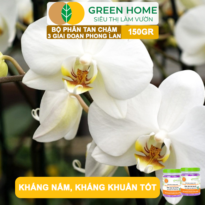 Bộ 3 Phân Tan Chậm Greenhome, Rynan 200-210-220 Chuyên Phong Lan 3 Giai Đoạn Dưỡng Cây Con, Kích Hoa, Sau Ra Hoa