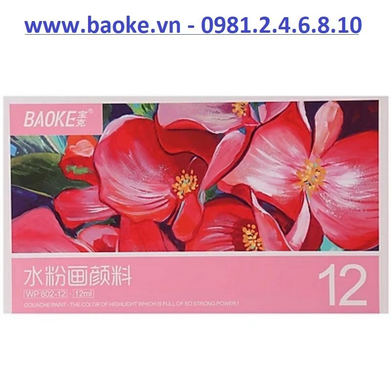 Màu nước Acrylic 12 màu Baoke 804 - 12