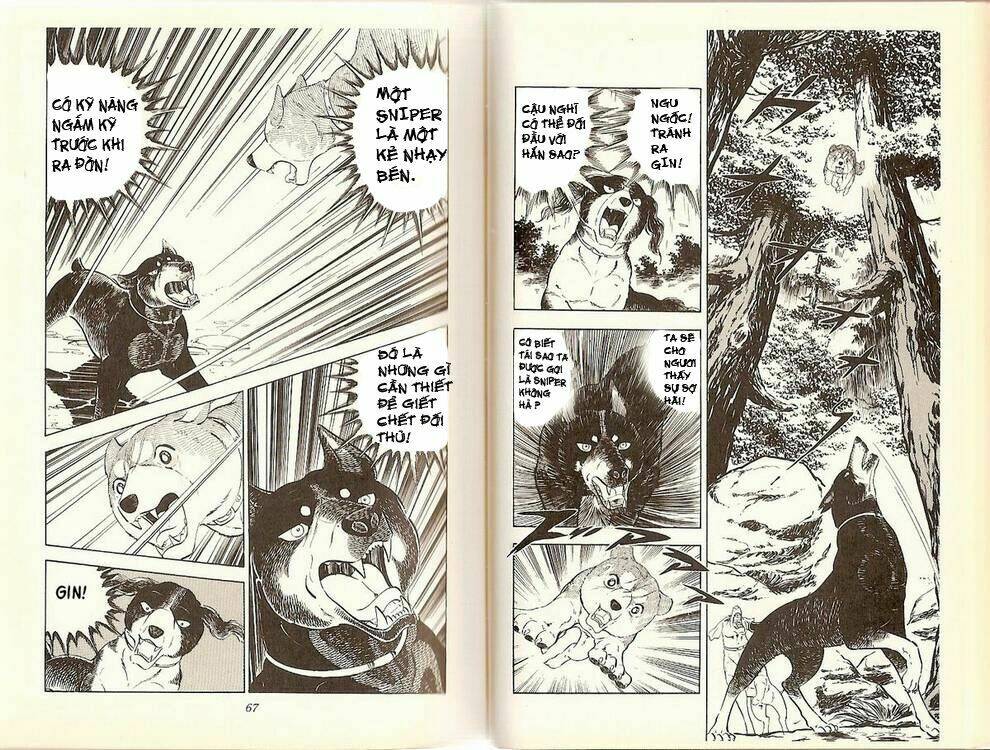 chú chó có nghĩa - ginga nagareboshi gin chapter 14 12