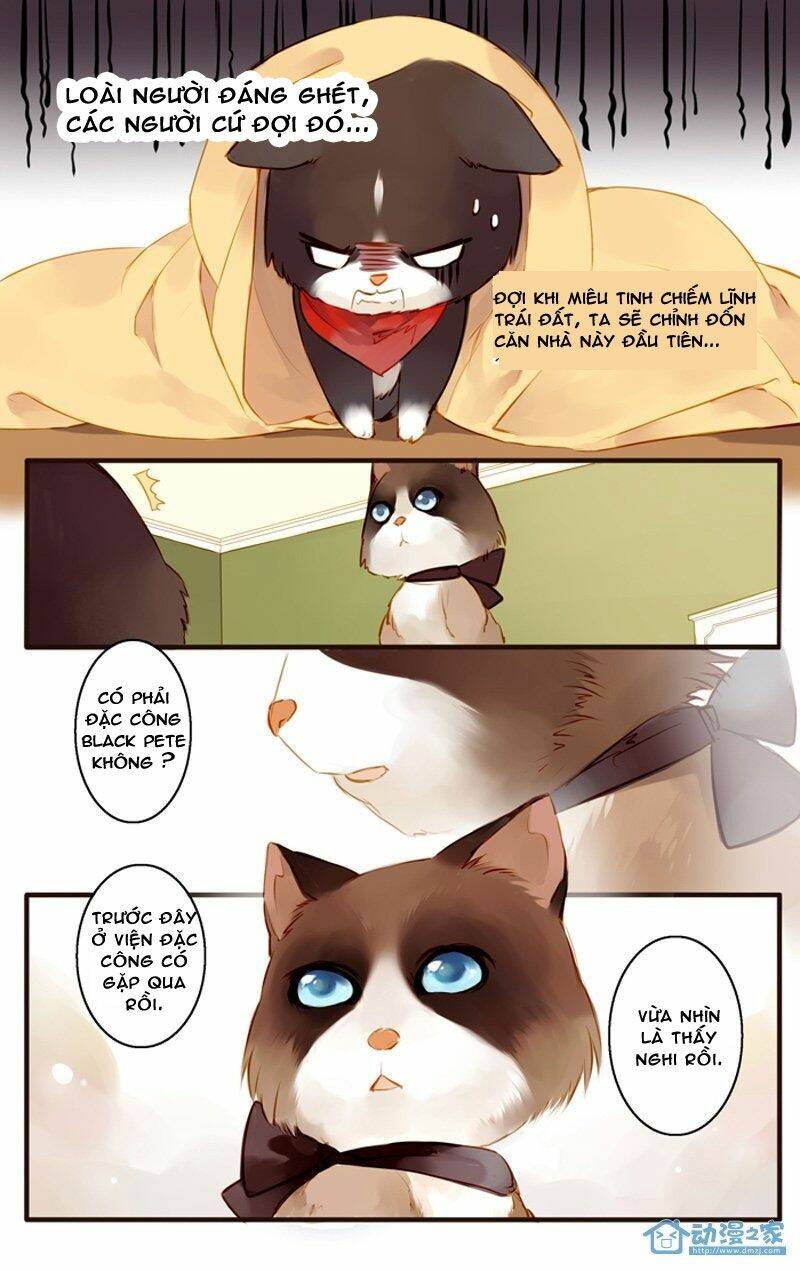 hằng mộng nam thần chapter 22 11