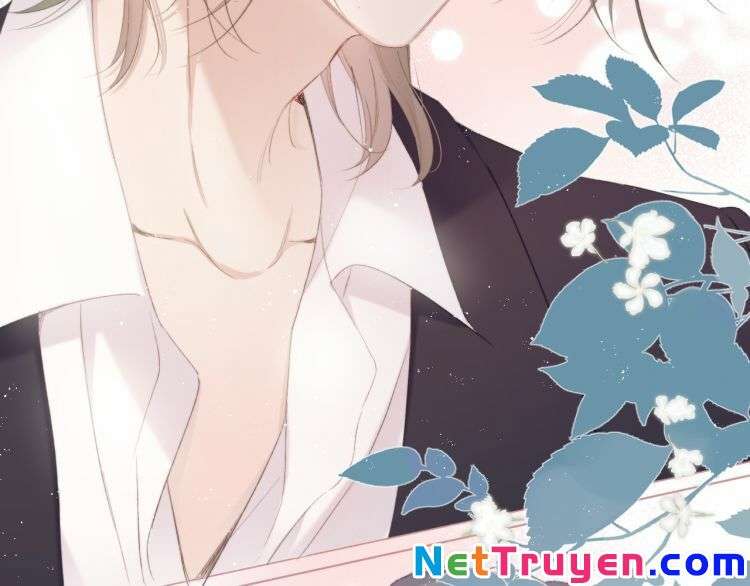 bảo vệ siêu sao của tôi chapter 87 4