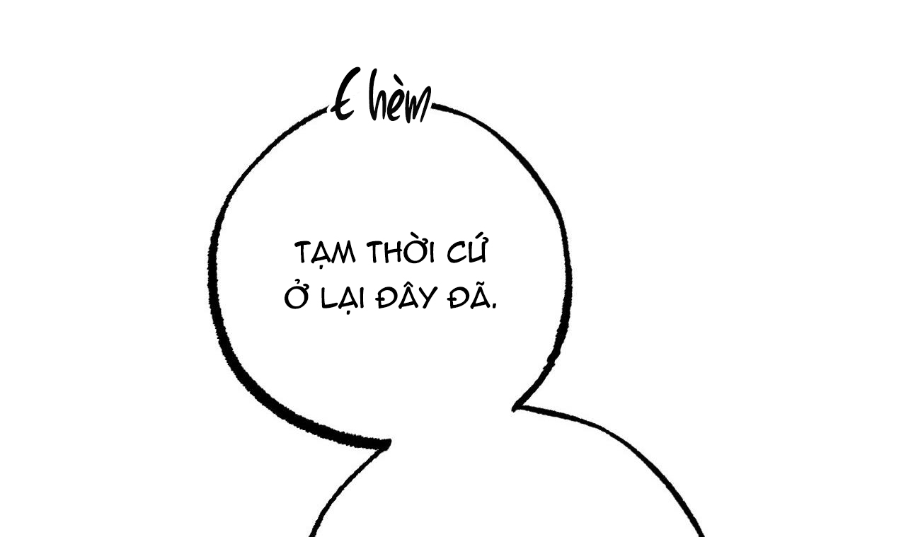 đàn thỏ của habibi chapter 37 213