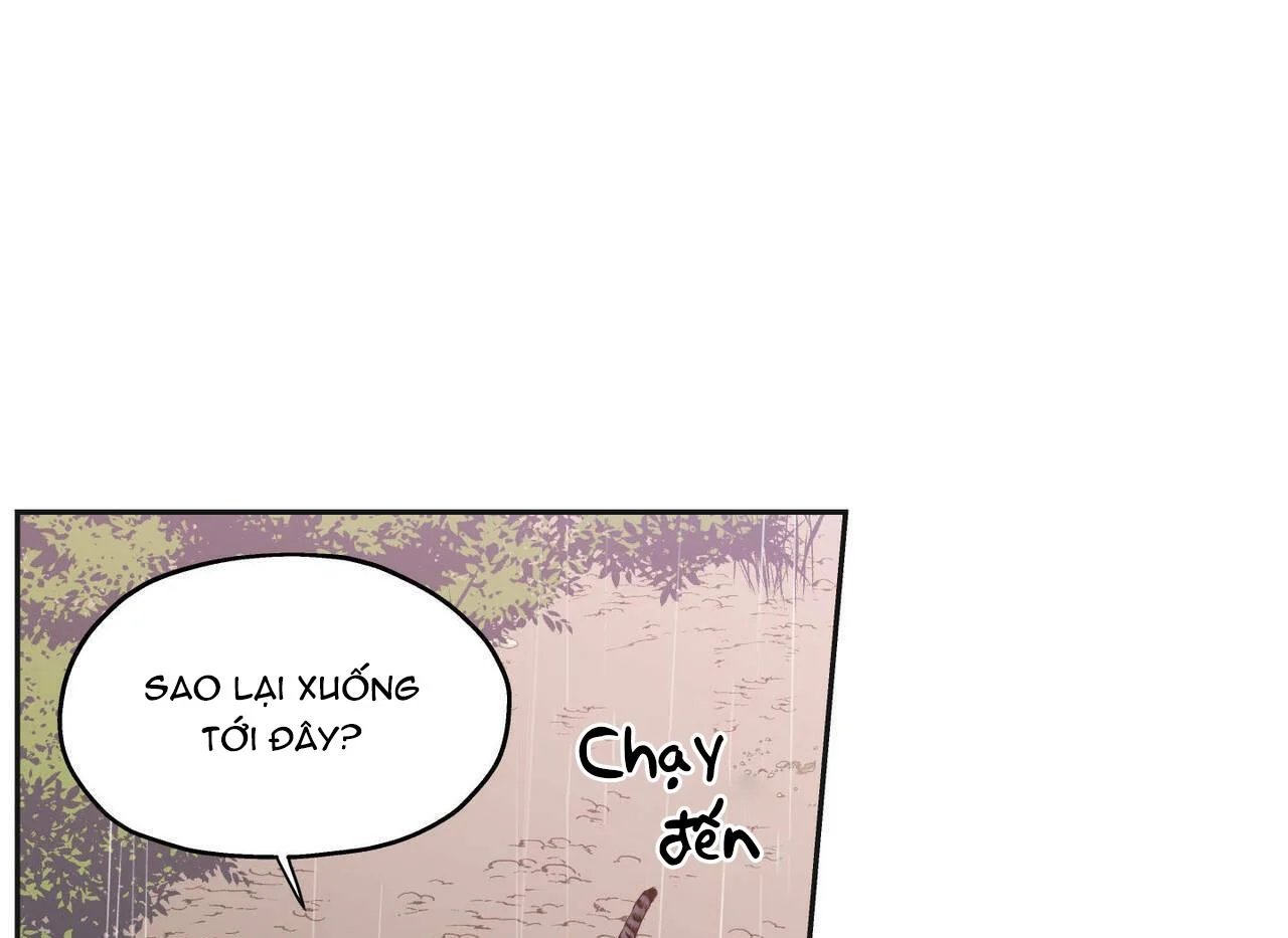 không chốn yêu đương chapter 66.5 1