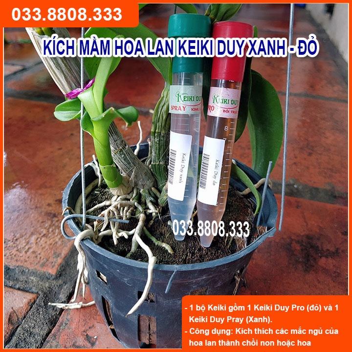KÍCH MẦM CHO LAN  - Giúp Cây Phát Triển Tốt
