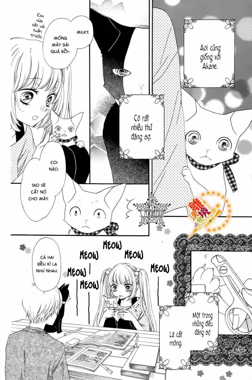 the romantica clock chapter 41.4 4