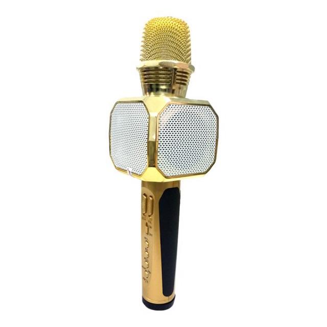 Míc hát karaoke bluetooth SD-10 BH 6 tháng đổi mới