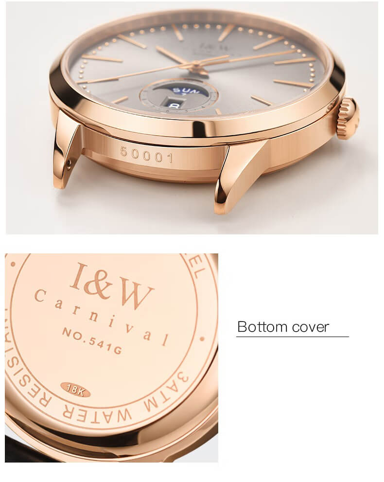 Đồng hồ nam chính hãng IW CARNIVAL IW541G-3 Kính sapphire ,chống xước,Chống nước ,Bảo hành 24 tháng,Máy cơ (Automatic),Dây da cao cấp