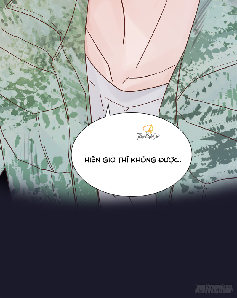 mối tình đầu gian nan của chu thành nhất chapter 43 50