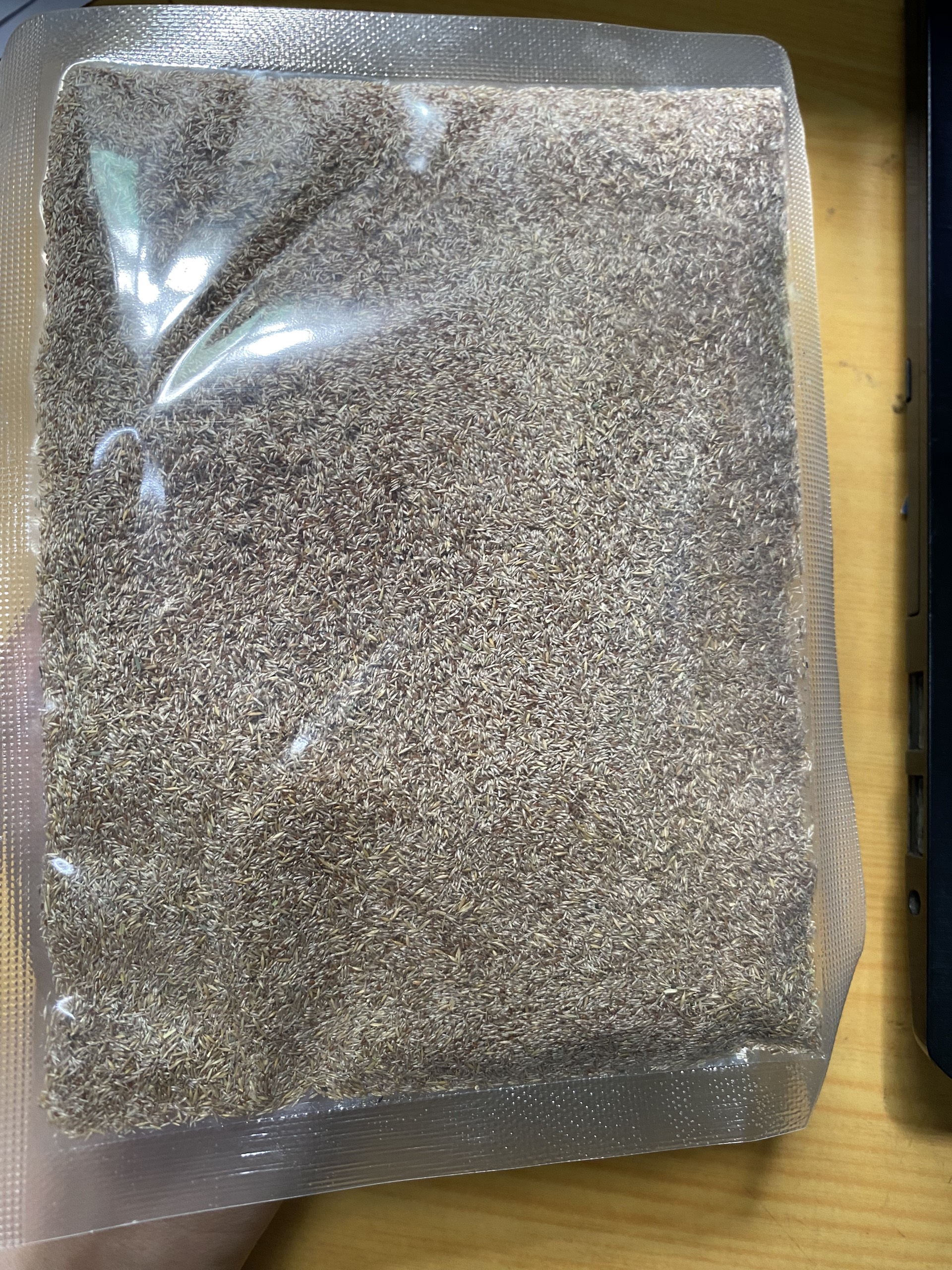 Gói 50 gram.Hạt giống cỏ nhung nhật ,cỏ thảm,lá dài 2cm