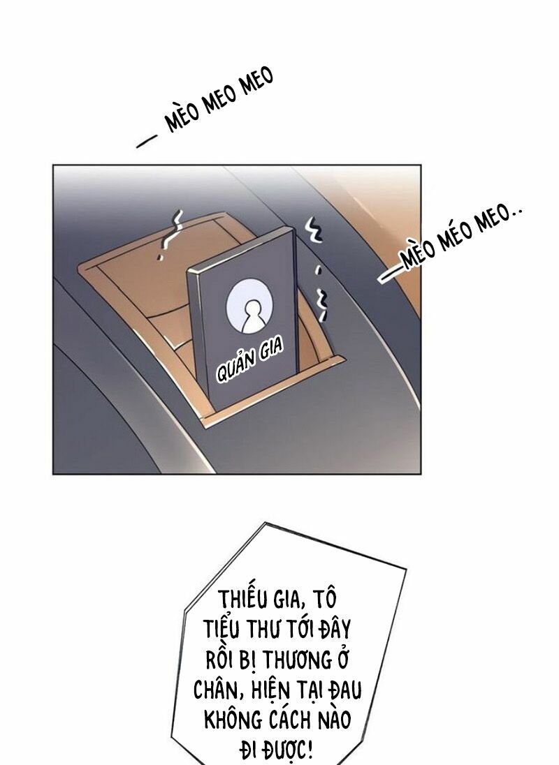 baba đẹp trai trên trời rơi xuống chapter 18 30