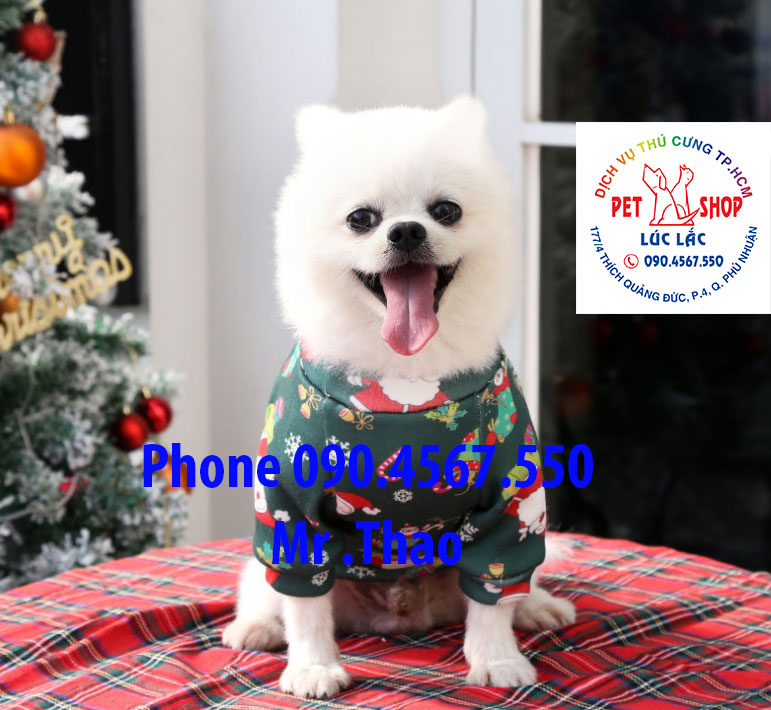 Quần Áo Giáng Sinh Chó Mèo - Áo Quần Noel cho Thú Cưng có Size 4XL cho Thú Cưng Lớn