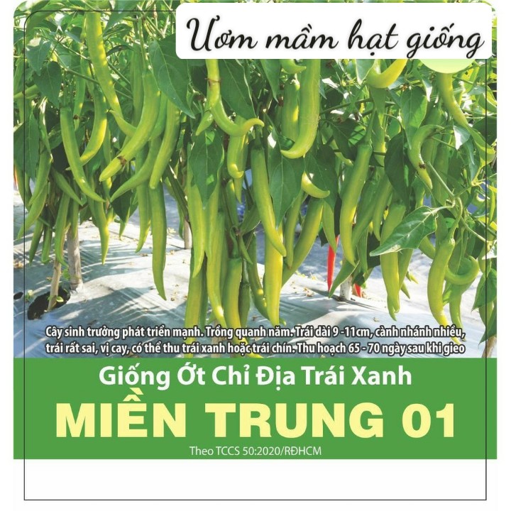 Hạt Giống ớt chỉ địa trái xanh Miền Trung 01