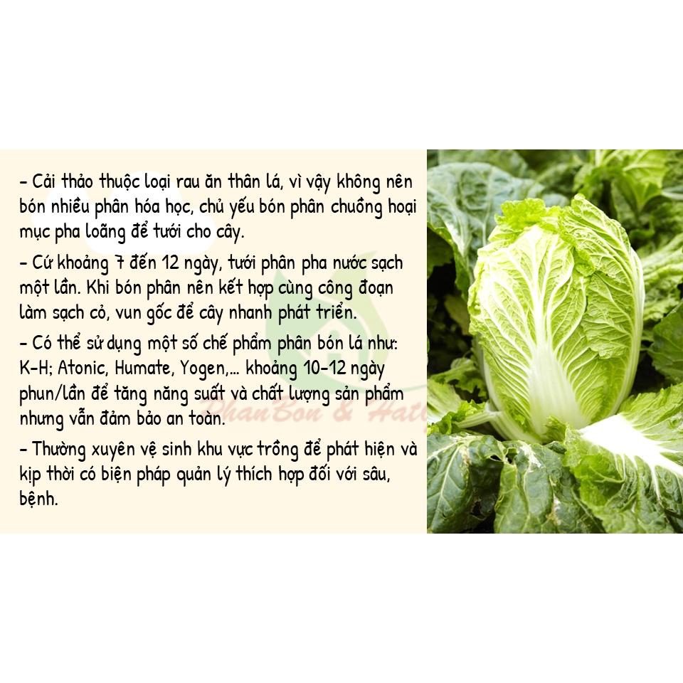 Hạt Giống Rau Cải Thảo F1 Gold Giòn, Ngọt, Giàu Dinh Dưỡng 1Gr - Phú Nông Seeds - Shop Phân Bón và Hạt Giống