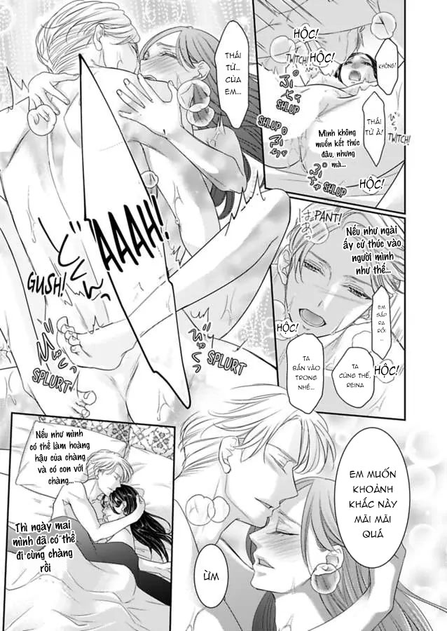 chuyển sinh vào thế giới khác ~ nếu muốn trở thành nữ hoàng hãy tìm cách để được hoàng đế sủng ái vào ban đêm chapter 76.1 8