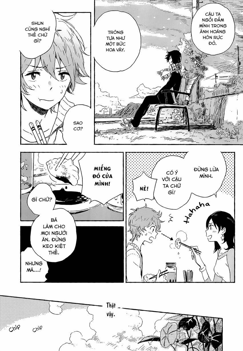 người lạ ven bờ biển chapter 1 15