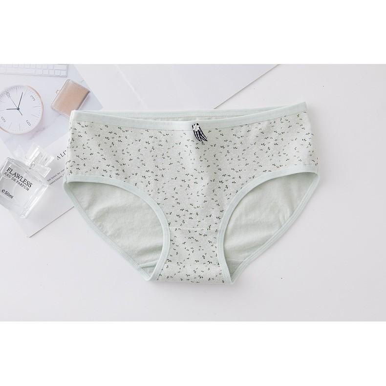 Quần Lót Cotton Kháng khuẩn Thời Trang Xuất Nhật Ngang Eo  Hàng Loại Đẹp.