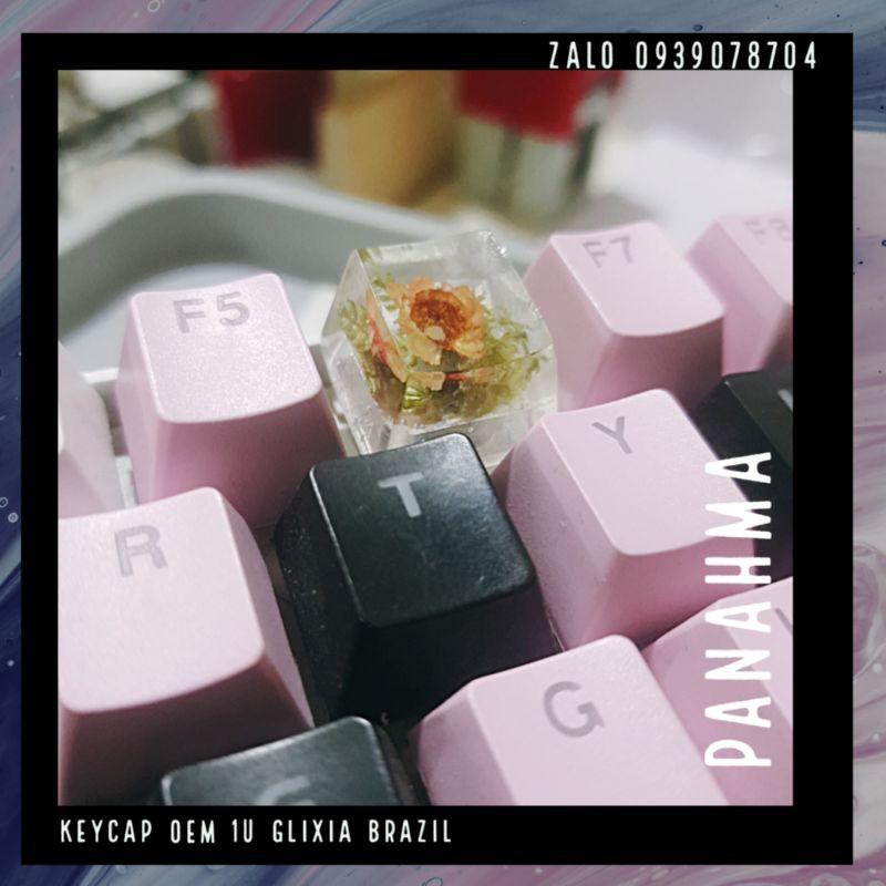 Keycap 1u danhf cho Resin hoa Glixia Brazil - Nút keycap bàn phím cơ trong hình hoa Glixia Brazil