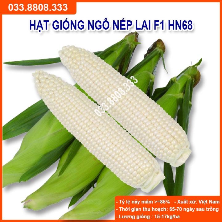 Hạt Giống Ngô Nếp Dẻo Thơm Ngon Đều Hạt HN68 Gói 300gram