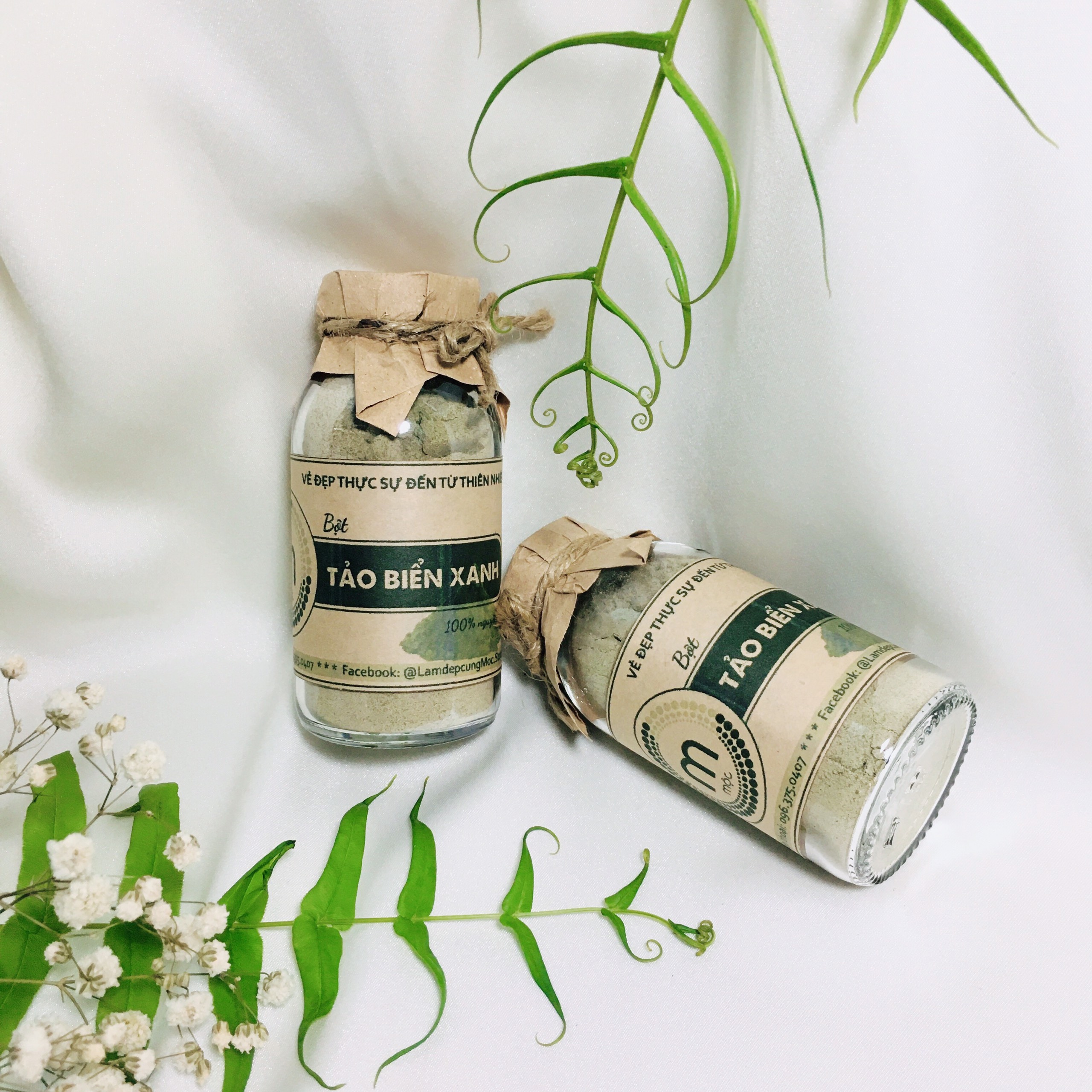 Bột đắp mặt Tảo Biển chống lão hóa nguyên chất 100ml