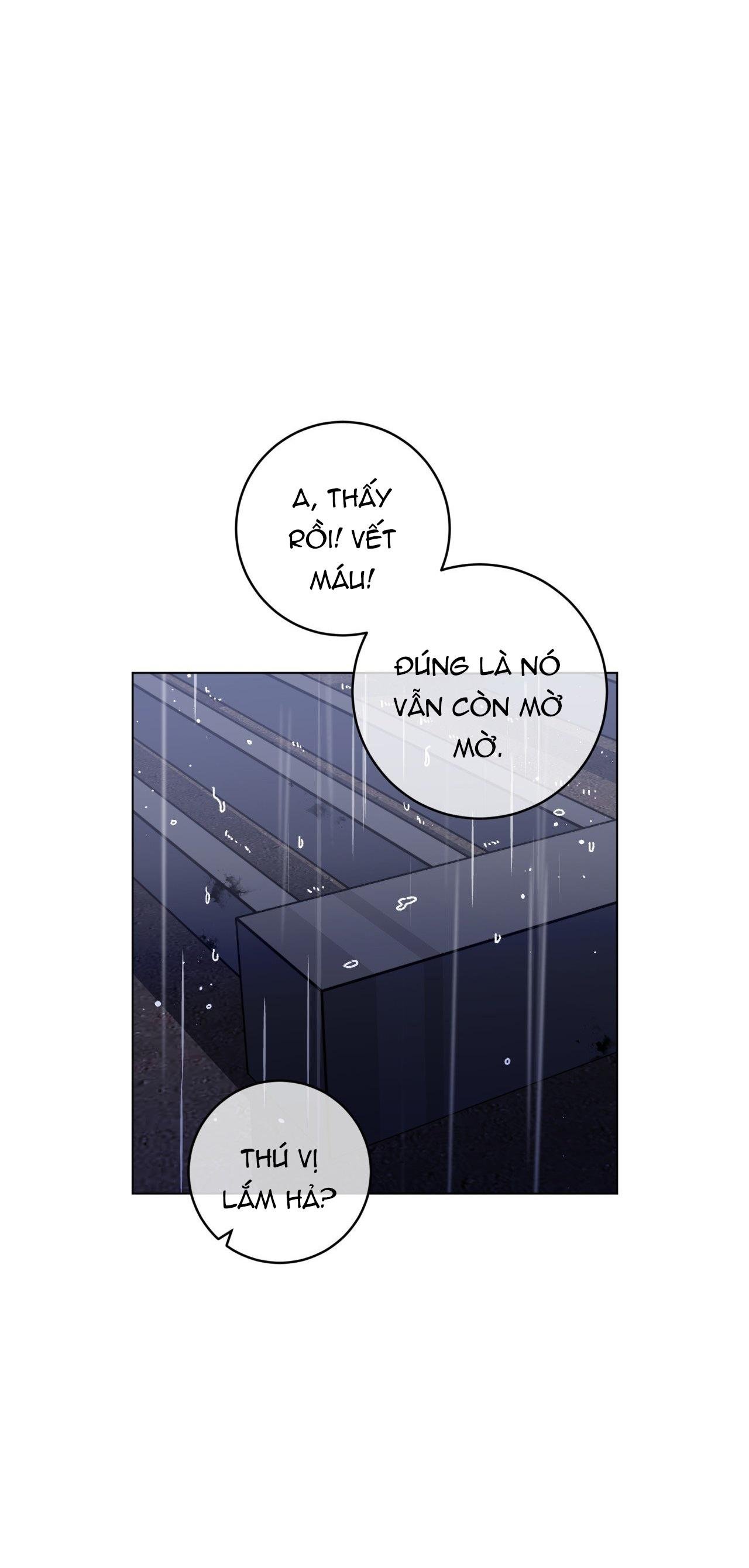 cơn mưa rào mùa hạ chapter 77 11