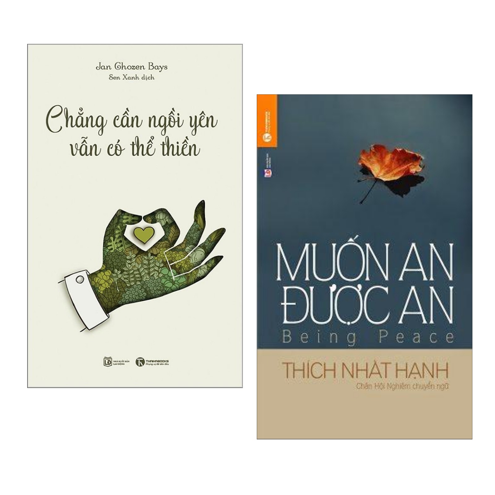 Combo Sách Kỹ Nằng Sống: Chẳng Cần Ngồi Yên Vẫn Có Thể Thiền + Muốn An Được An -
