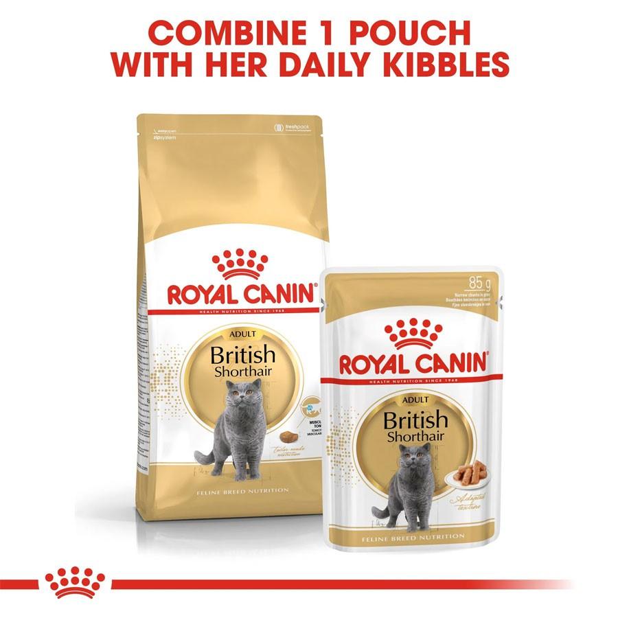 Hạt Royal Canin British Shorthair Adult Cho Mèo Lớn Anh Lông Ngắn Trưởng Thành