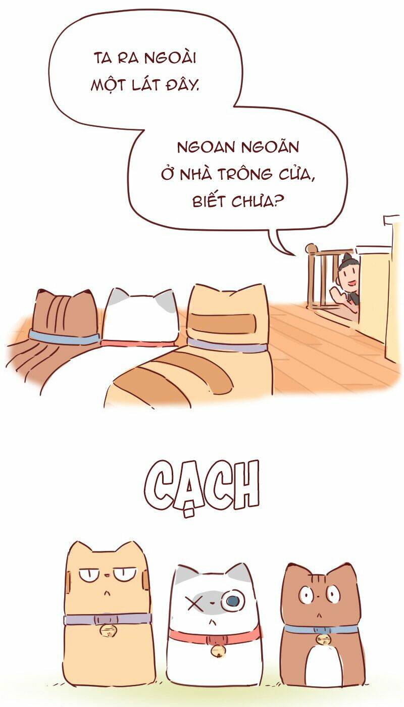 saphie: chú mèo một mắt chapter 28 5