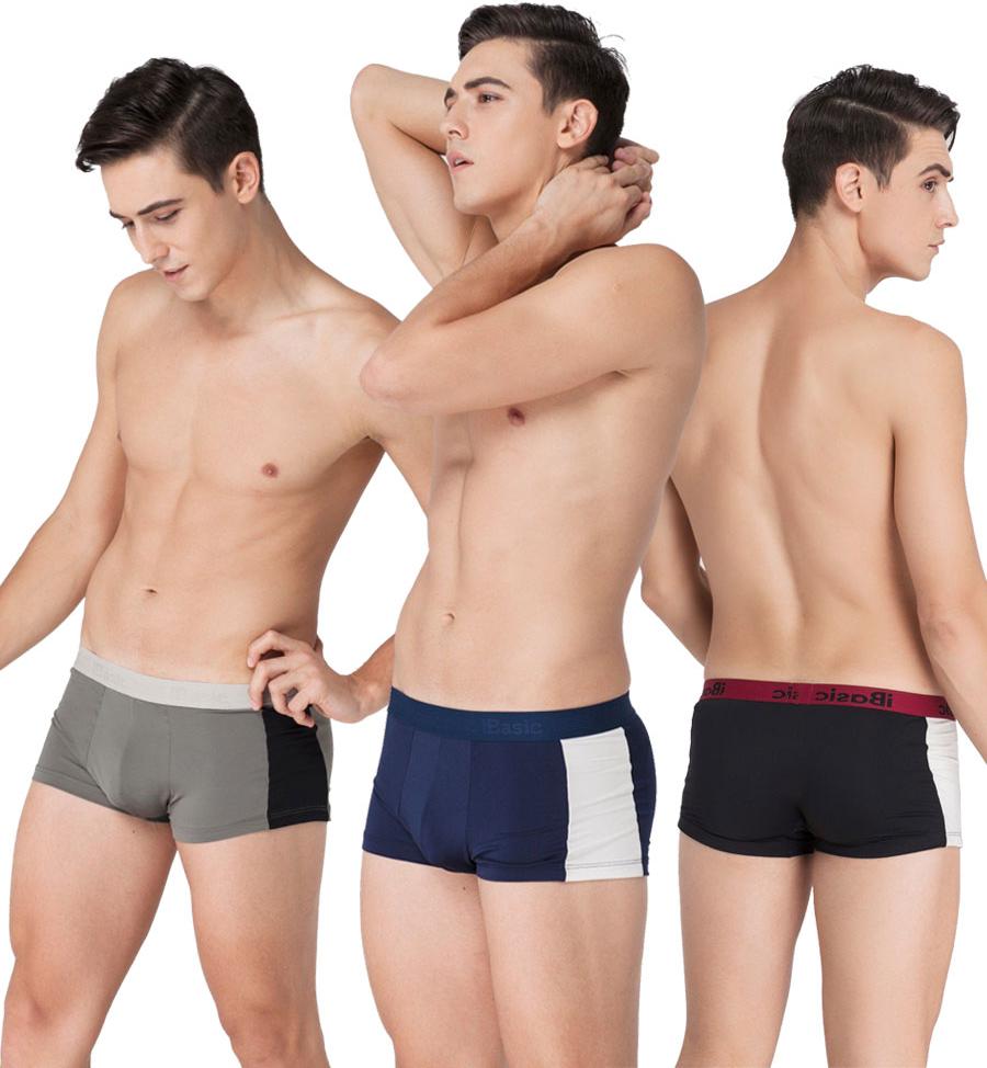 Combo 3 Chiếc Quần Lót Nam Thời Trang Boxer Poly iBasic PANM007