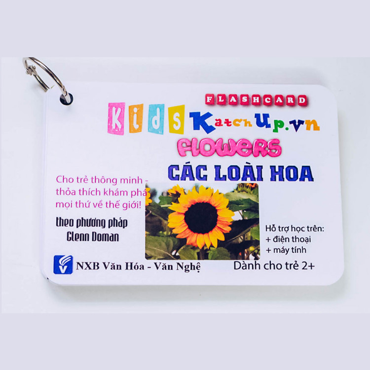 Bộ KatchUp Flashcard cho bé Tiếng Anh – Các loài hoa – High Quality