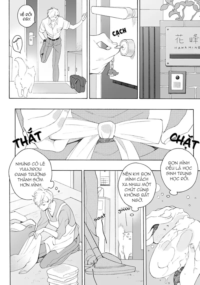 những tháng ngày ngọt ngào đầy trắc trở chapter 2 11