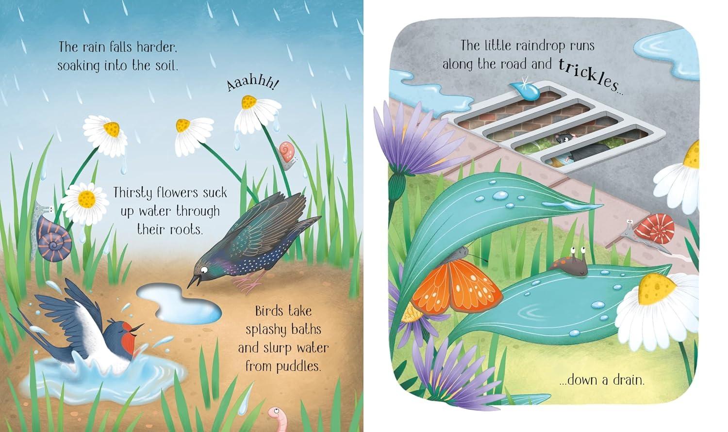 Sách ngoại văn: One Little Raindrop