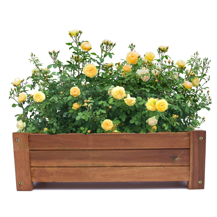 Bộ 2 Chậu Gỗ Chữ Nhật Lớn Greenhome GH021 - Nâu