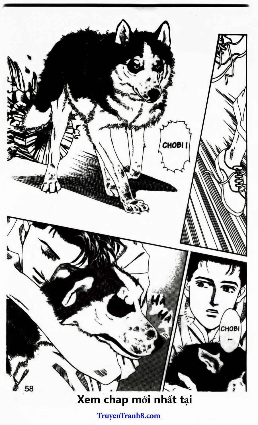 doubutsu no oishasan chapter 55 17