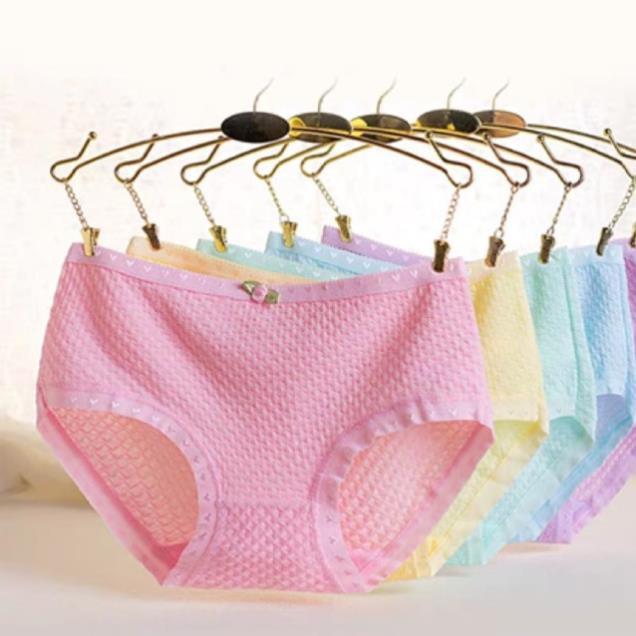 Quần lót cotton trần bông