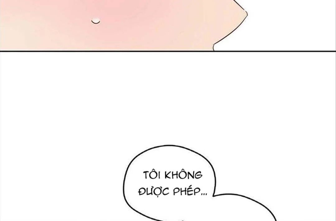 chuyện quái gì với giấc mơ đó vậy chapter 30 38