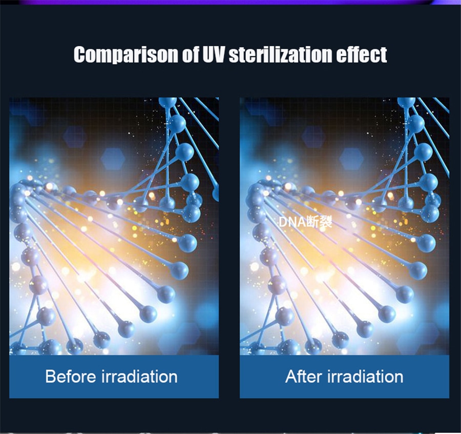 Kệ Treo Bàn Chải treo tường tia UV ATTRACTIVE cao cấp Làm Khô Nhanh