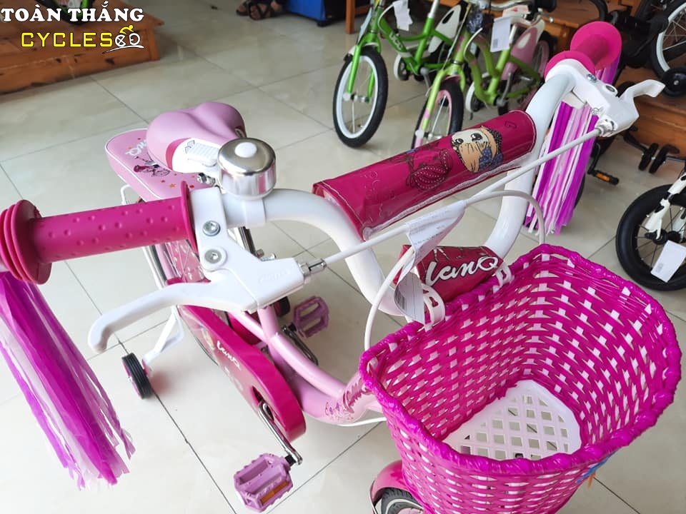 Xe đạp trẻ em 1853 Pink