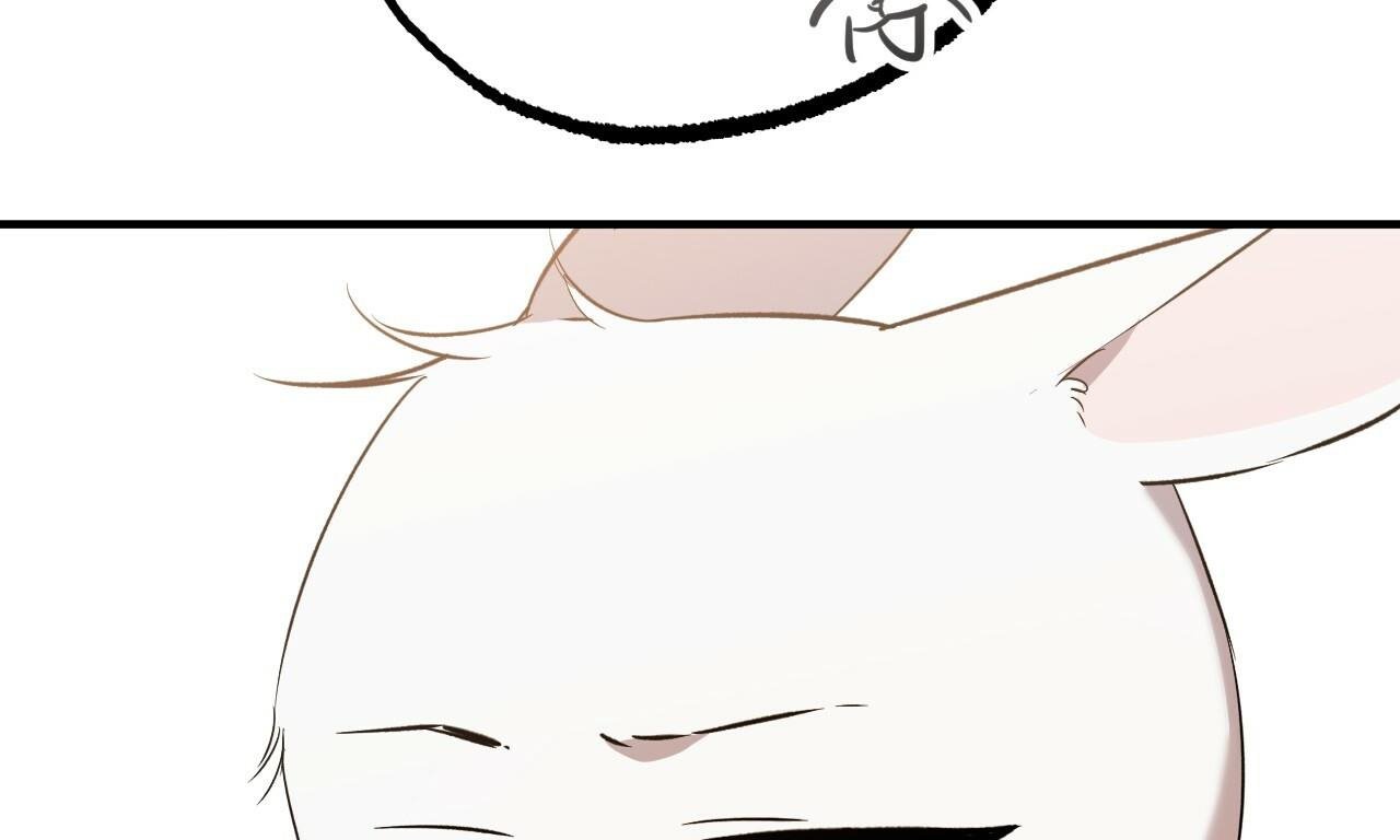 những chú thỏ của hapypy chapter 56 268