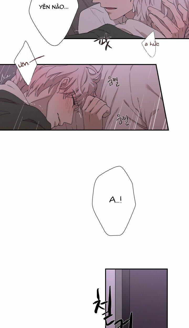 trốn tìm chapter 24 42