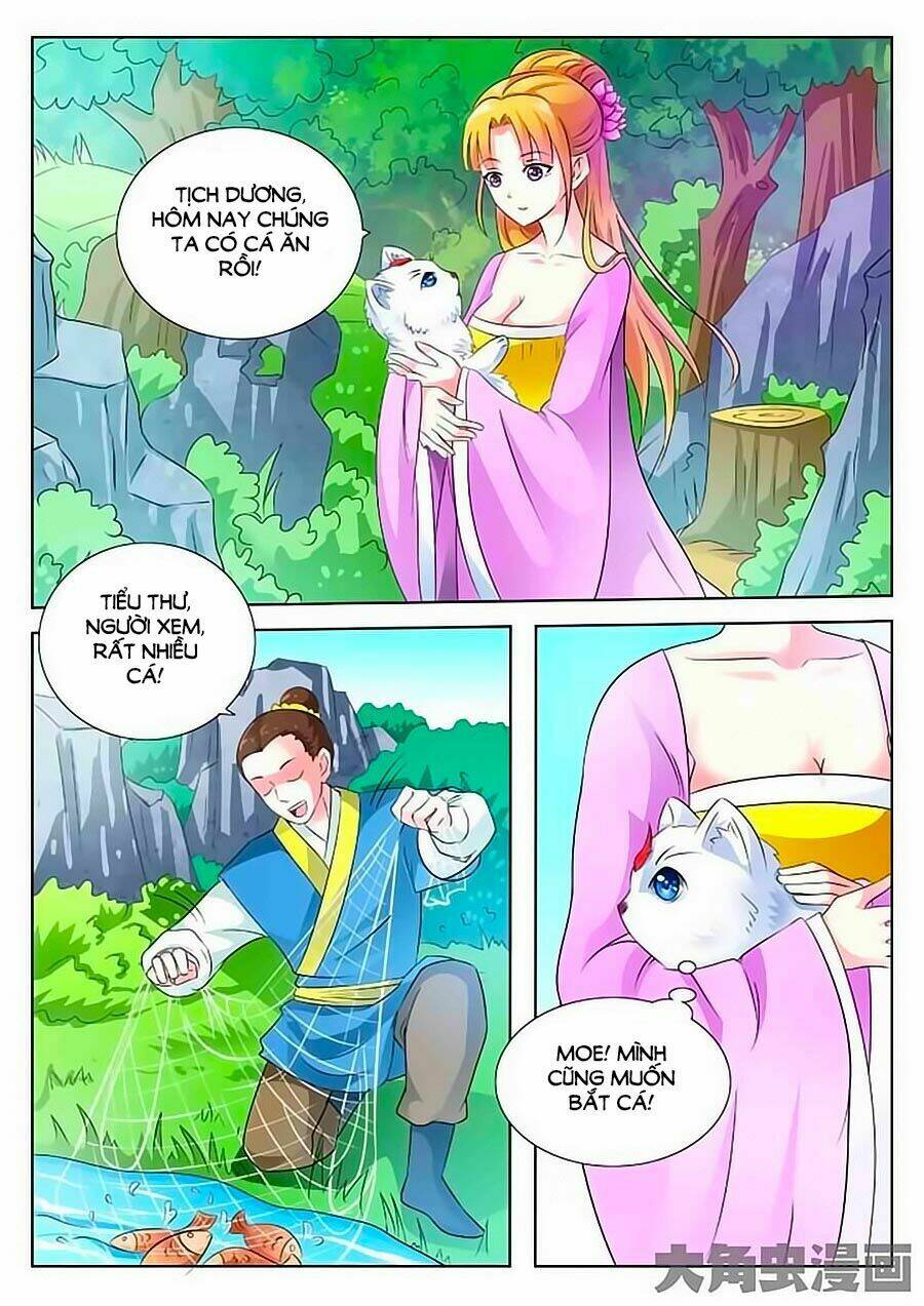 mau lấy con mèo đó ra chapter 1 9