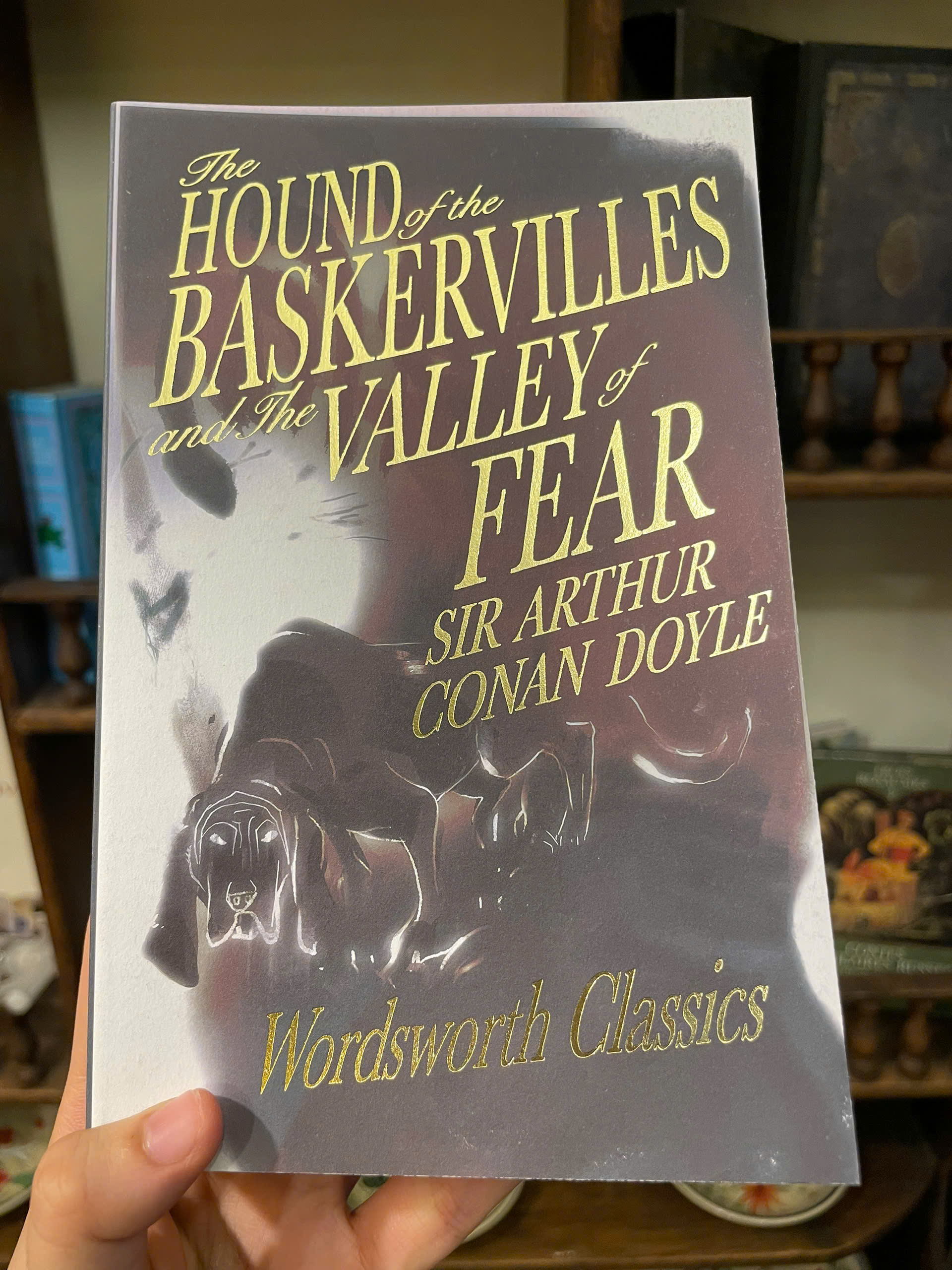 Sách - The Hound of the Baskervilles &amp; The Valley of Fear (Sherlock Holmes) by Arthur Conan Doyle