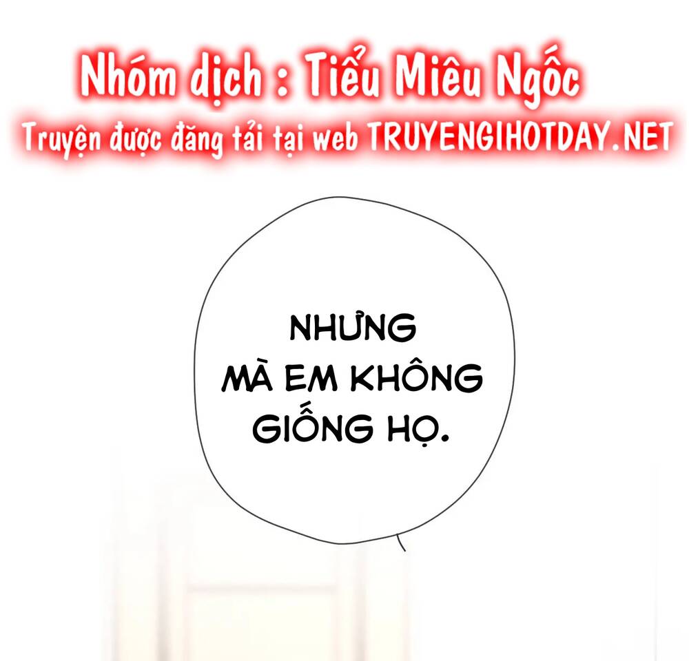 vì sao của tôi chapter 131 5