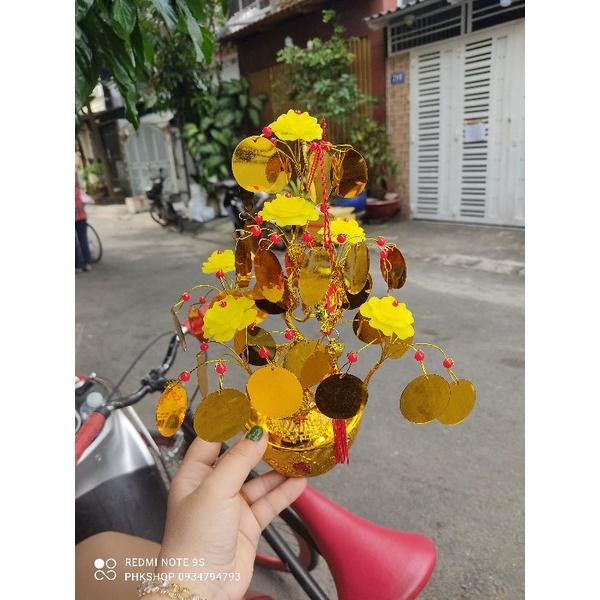 Cây kim tiền hoa mẫu đơn vàng cát tường ~25cm thành phẩm phk shop