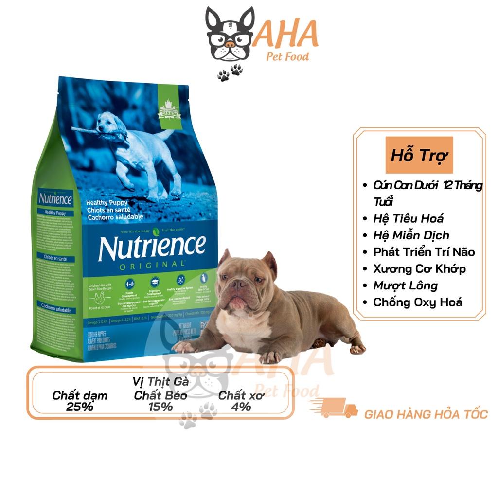 Thức Ăn Hạt Cho Chó Bully Nutrience Subzero Bao 500g Hỗ Trợ Xương Sụn Cơ Khớp - 6 Loại Thịt Cá, Rau Củ Quả, Trái Cây